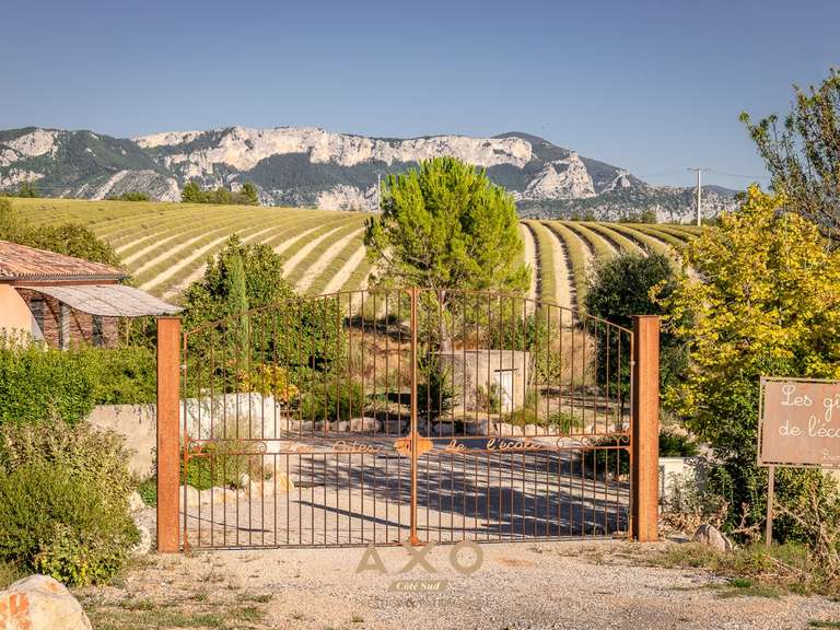 Maison Moustiers-Sainte-Marie - 13 chambres - 567m²
