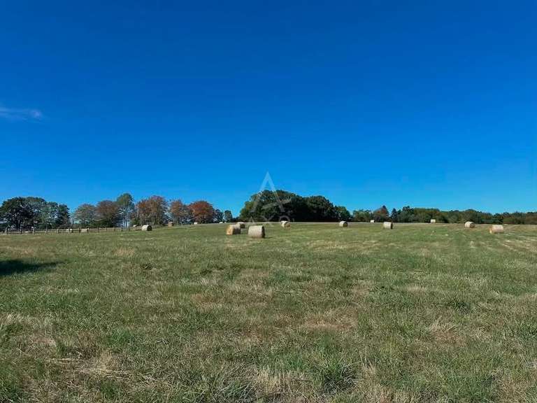 Maison Mortagne-au-Perche - 6 chambres - 340m²