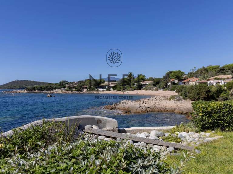 Villa Pietrosella - 5 chambres - 200m²