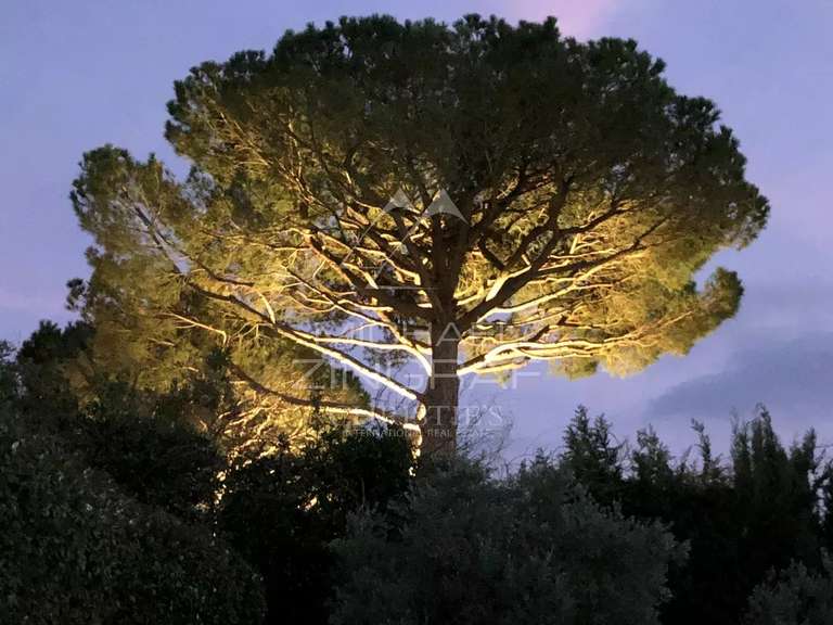 Villa Cannes - 5 chambres - 350m²