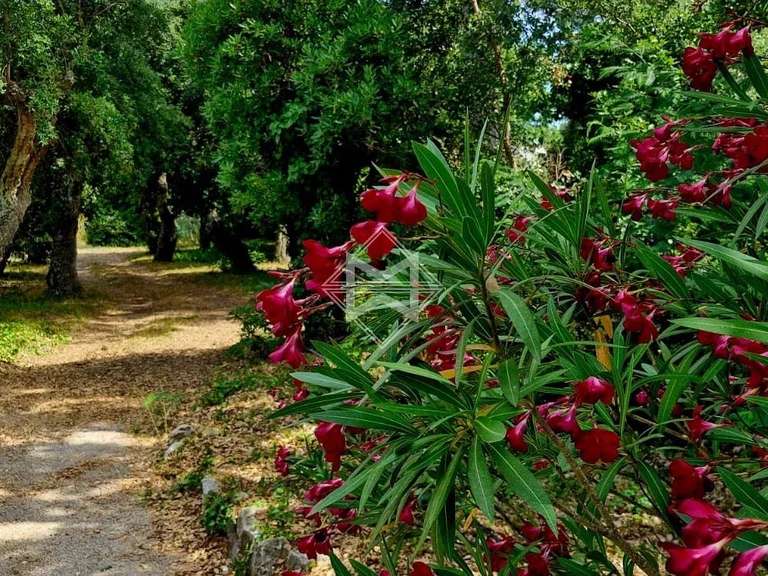 Villa Grimaud - 6 chambres - 370m²
