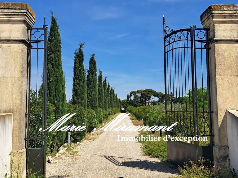 Maison Avignon - 13 chambres - 1000m²