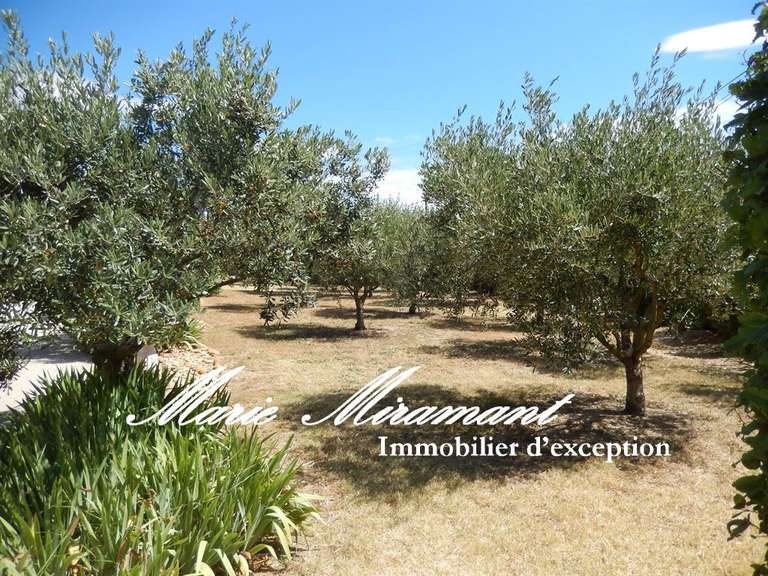 Maison Avignon - 13 chambres - 1000m²