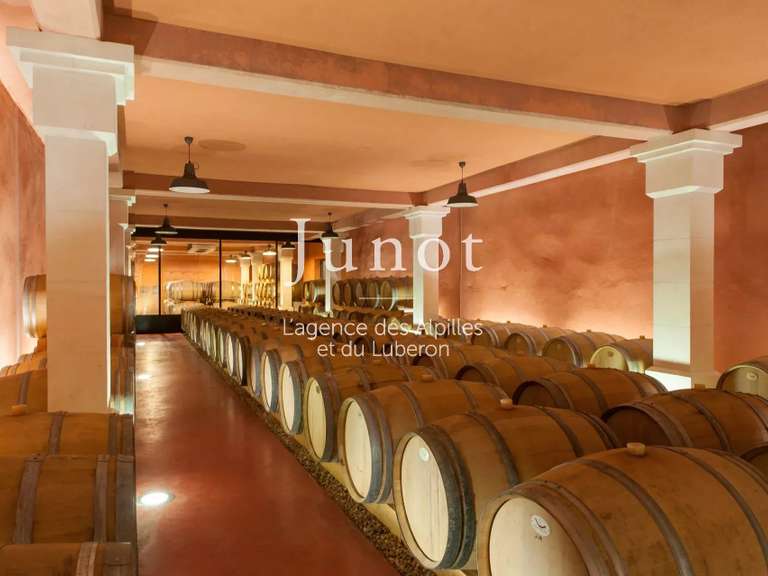 Maison Goult - 9 chambres - 1200m²