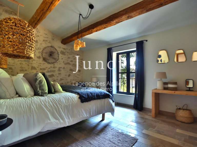 Maison Saint-Rémy-de-Provence - 4 chambres - 290m²