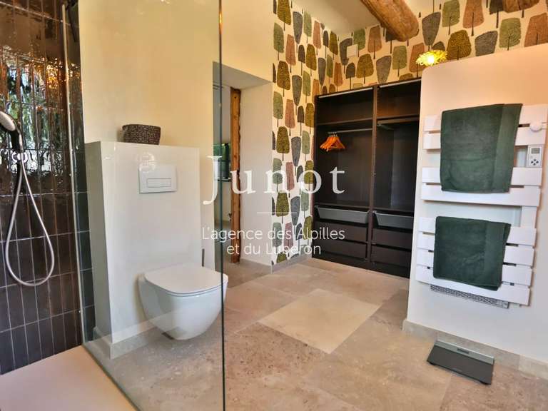 Maison Saint-Rémy-de-Provence - 4 chambres - 290m²