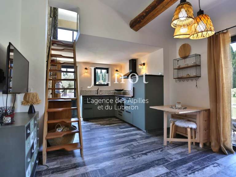 Maison Saint-Rémy-de-Provence - 4 chambres - 290m²