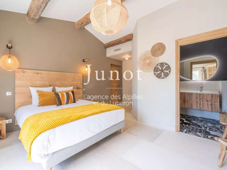 Maison Saint-Rémy-de-Provence - 4 chambres - 220m²