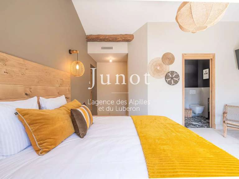 Maison Saint-Rémy-de-Provence - 4 chambres - 220m²