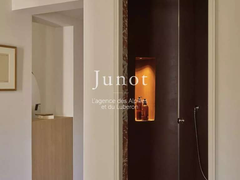 Hôtel particulier Saint-Rémy-de-Provence - 4 chambres - 260m²