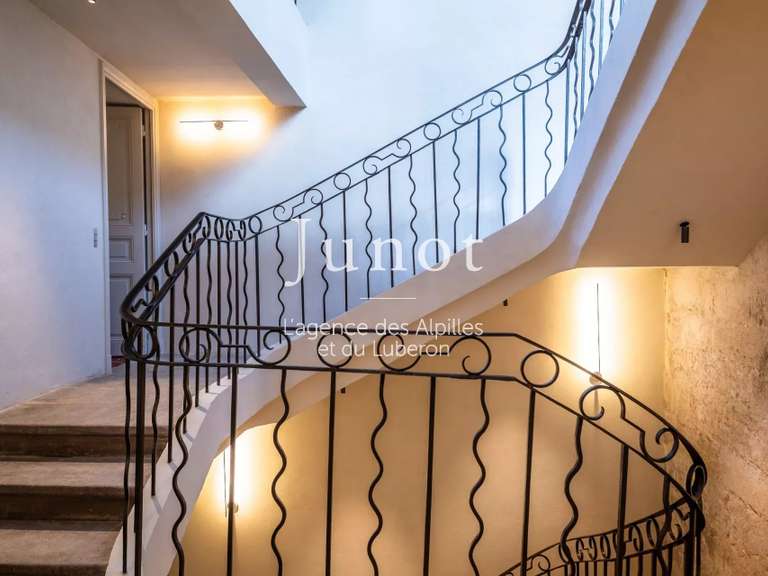 Hôtel particulier Saint-Rémy-de-Provence - 4 chambres - 260m²