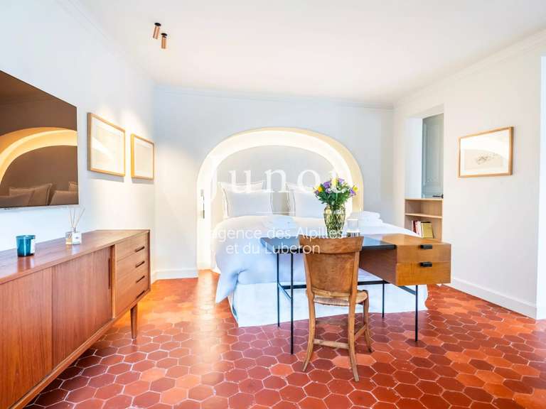 Hôtel particulier Saint-Rémy-de-Provence - 4 chambres - 260m²