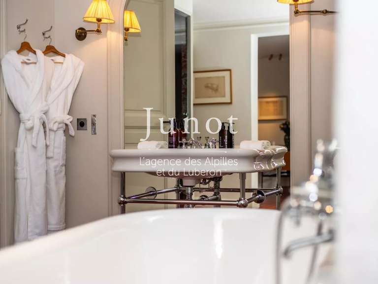 Hôtel particulier Saint-Rémy-de-Provence - 4 chambres - 260m²