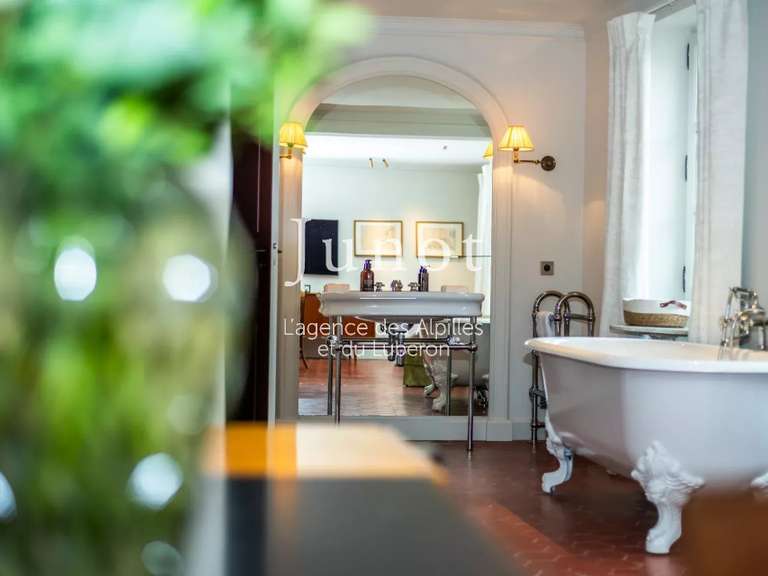 Hôtel particulier Saint-Rémy-de-Provence - 4 chambres - 260m²
