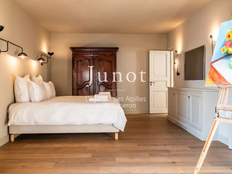 Hôtel particulier Saint-Rémy-de-Provence - 4 chambres - 260m²