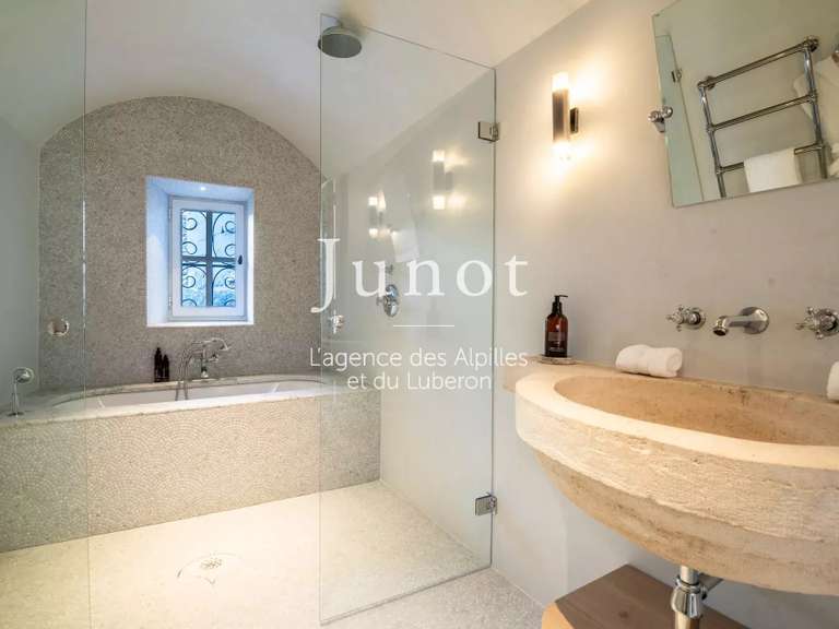 Hôtel particulier Saint-Rémy-de-Provence - 4 chambres - 260m²