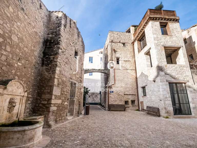 Hôtel particulier Saint-Rémy-de-Provence - 4 chambres - 260m²