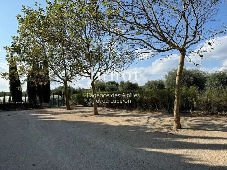 Maison Maussane-les-Alpilles - 6 chambres - 334m²