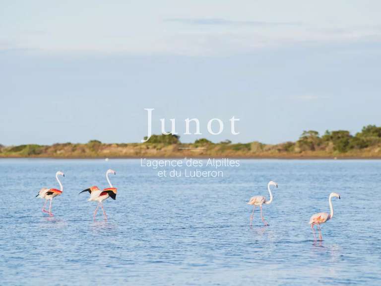 Maison Arles - 6 chambres - 300m²