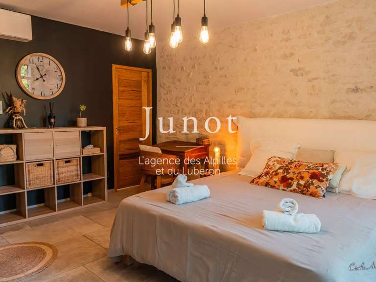 Villa Saint-Rémy-de-Provence - 4 chambres - 210m²