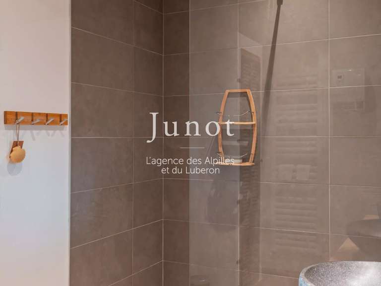 Villa Saint-Rémy-de-Provence - 4 chambres - 210m²