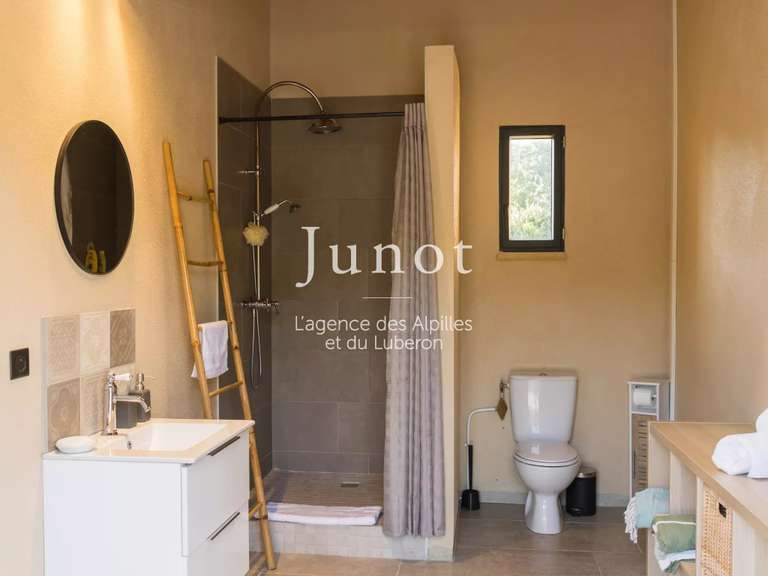 Villa Saint-Rémy-de-Provence - 4 chambres - 210m²