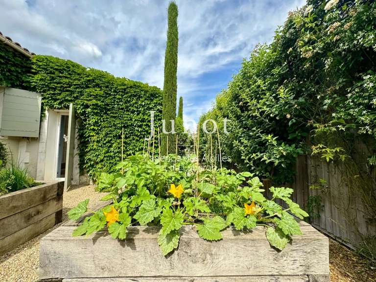 Villa Saint-Rémy-de-Provence - 4 chambres - 250m²