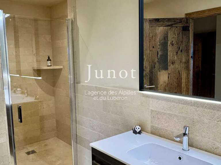 Maison Saint-Rémy-de-Provence - 5 chambres - 280m²