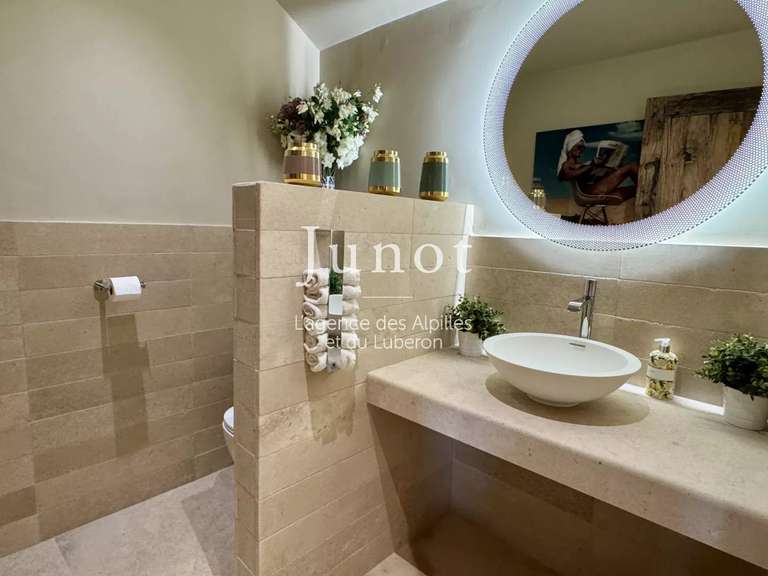 Maison Saint-Rémy-de-Provence - 5 chambres - 280m²