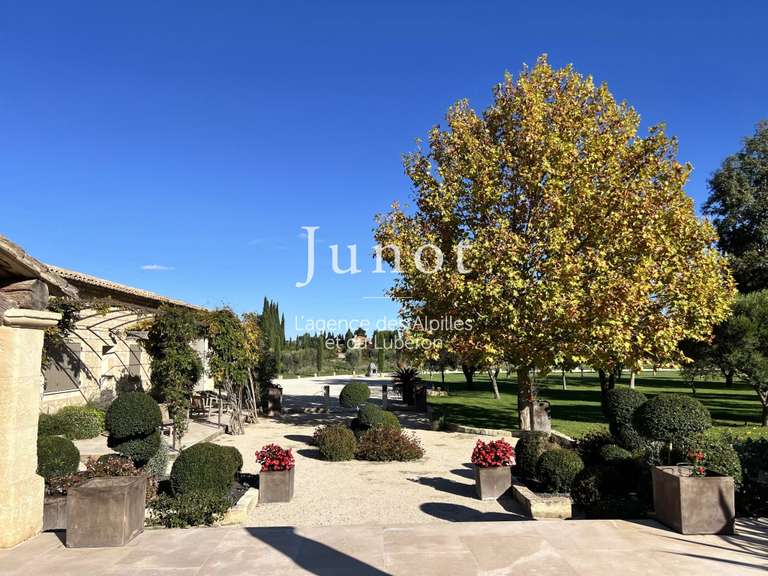 Maison Saint-Rémy-de-Provence - 5 chambres - 280m²