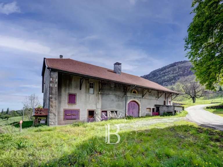 Maison Présilly - 4 chambres - 655m²