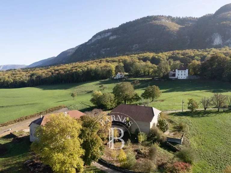 Maison Présilly - 4 chambres - 655m²