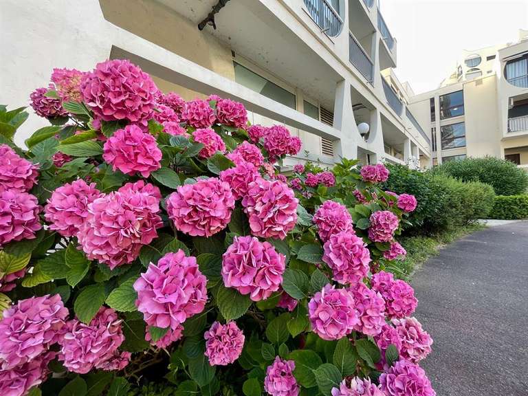 Appartement La Grande-Motte - 2 chambres - 122m²