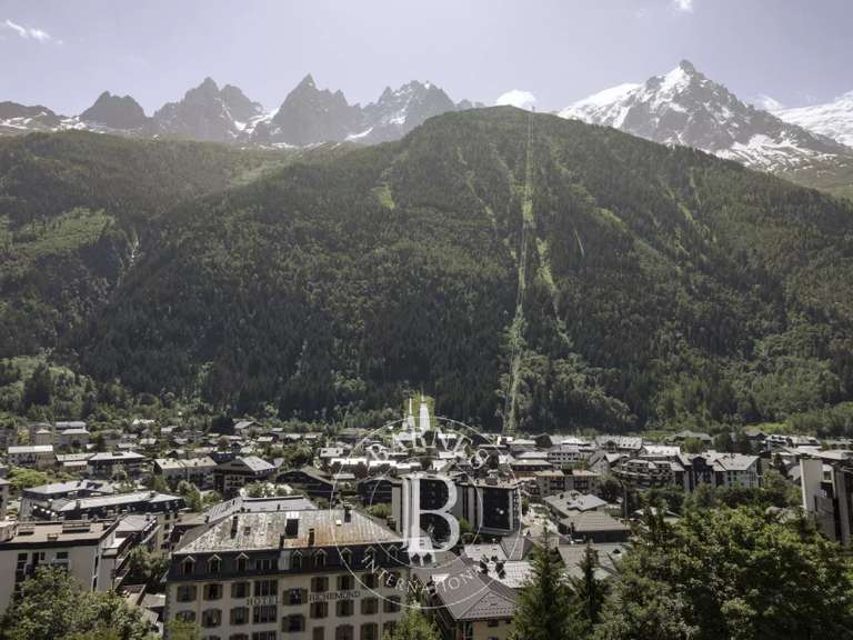 Appartement Chamonix-Mont-Blanc - 2 chambres - 54m²