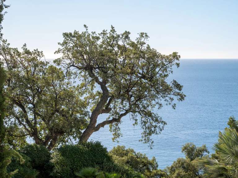 Appartement Toulon - 1 chambre - 111m²