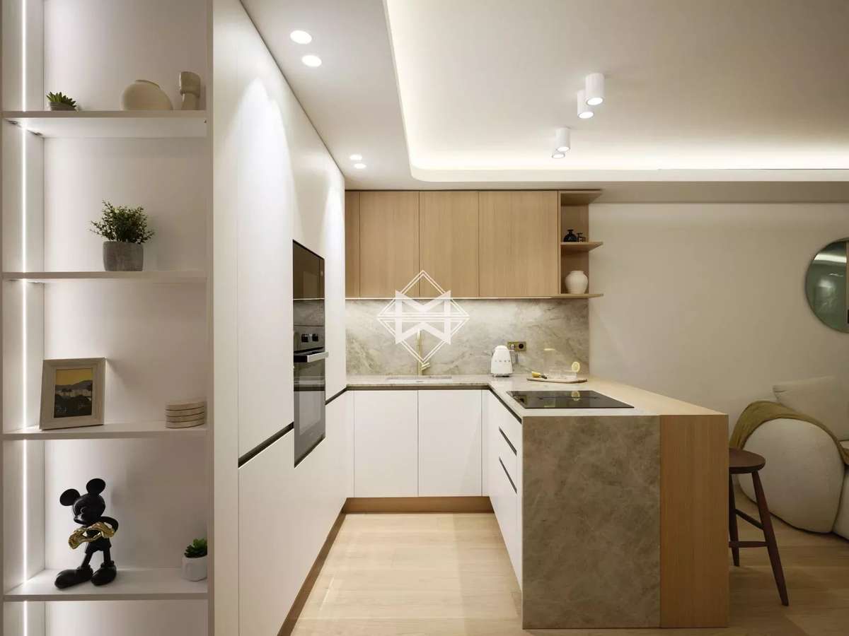 Apartment Cannes