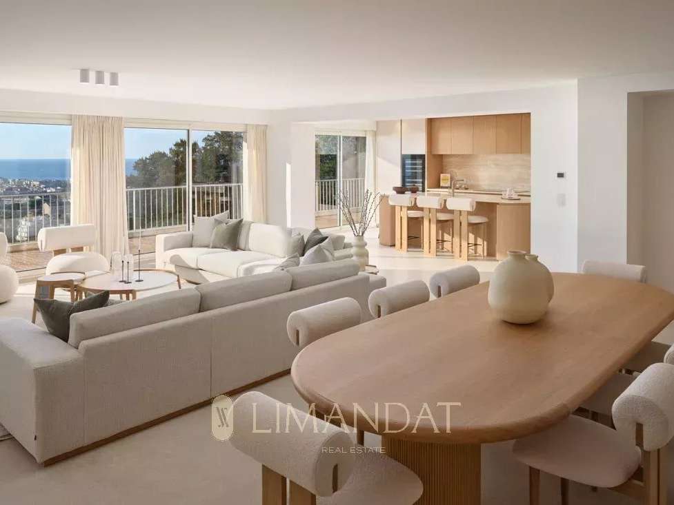 Apartment Cannes