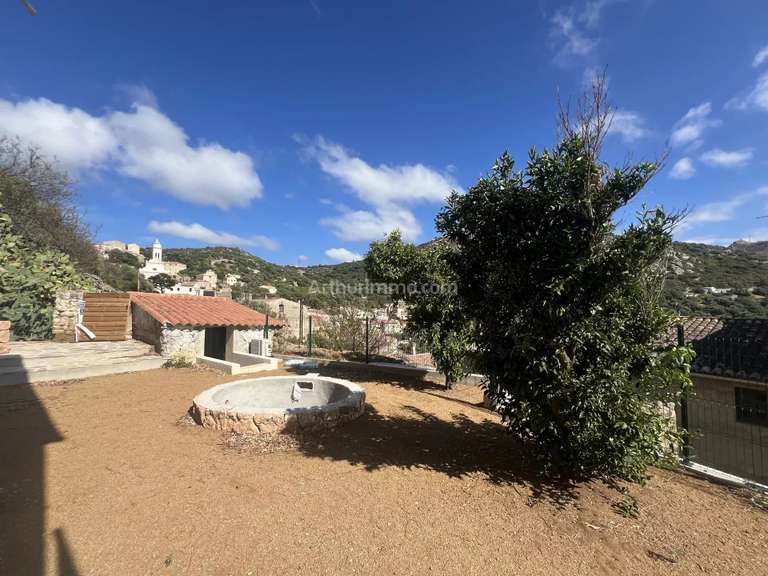 Appartement Corbara - 3 chambres - 117m²