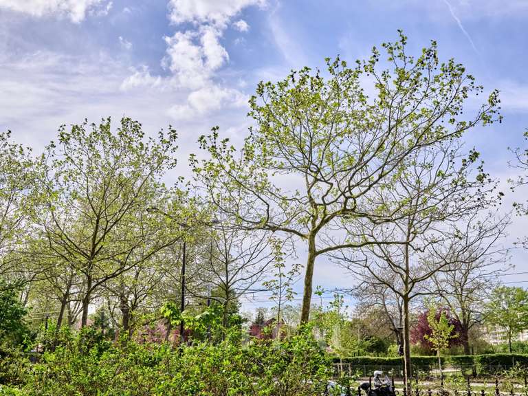 Appartement Paris 16e - 2 chambres - 94m²