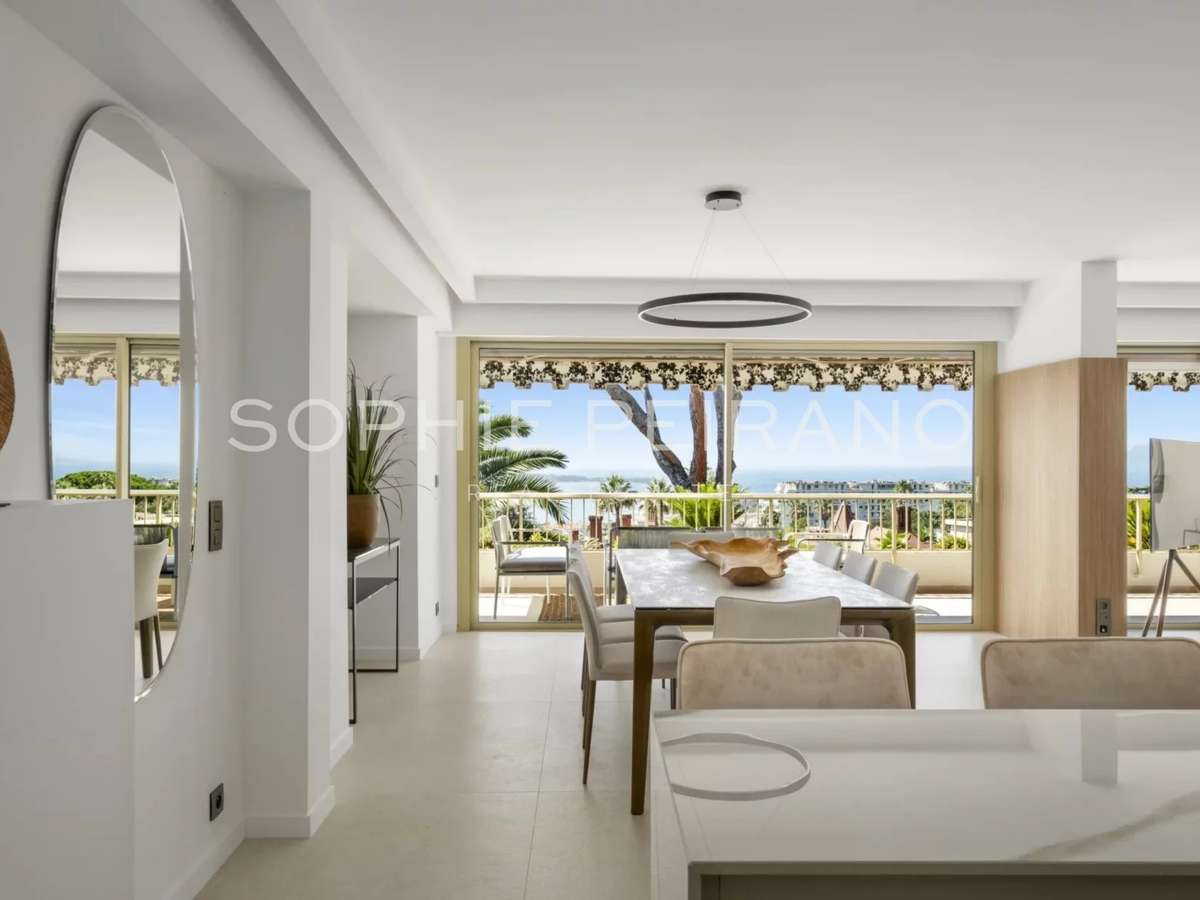 Apartment Cannes