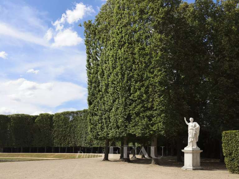 Appartement Versailles - 3 chambres - 186m²