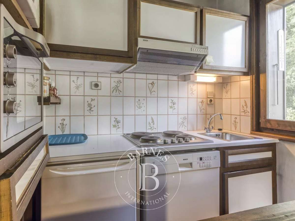 Appartement Argentiere