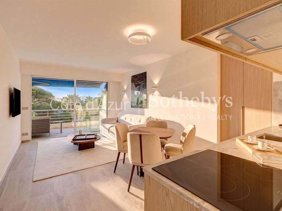 Apartment Cannes