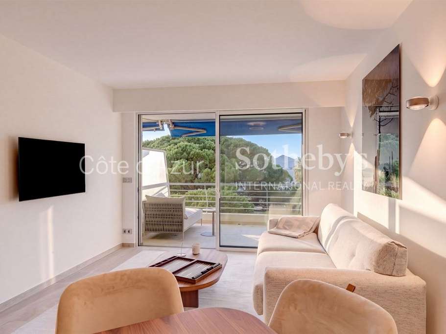 Apartment Cannes