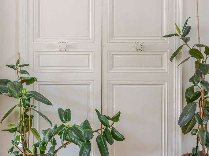 Appartement Marseille 4e - 5 chambres - 211m²
