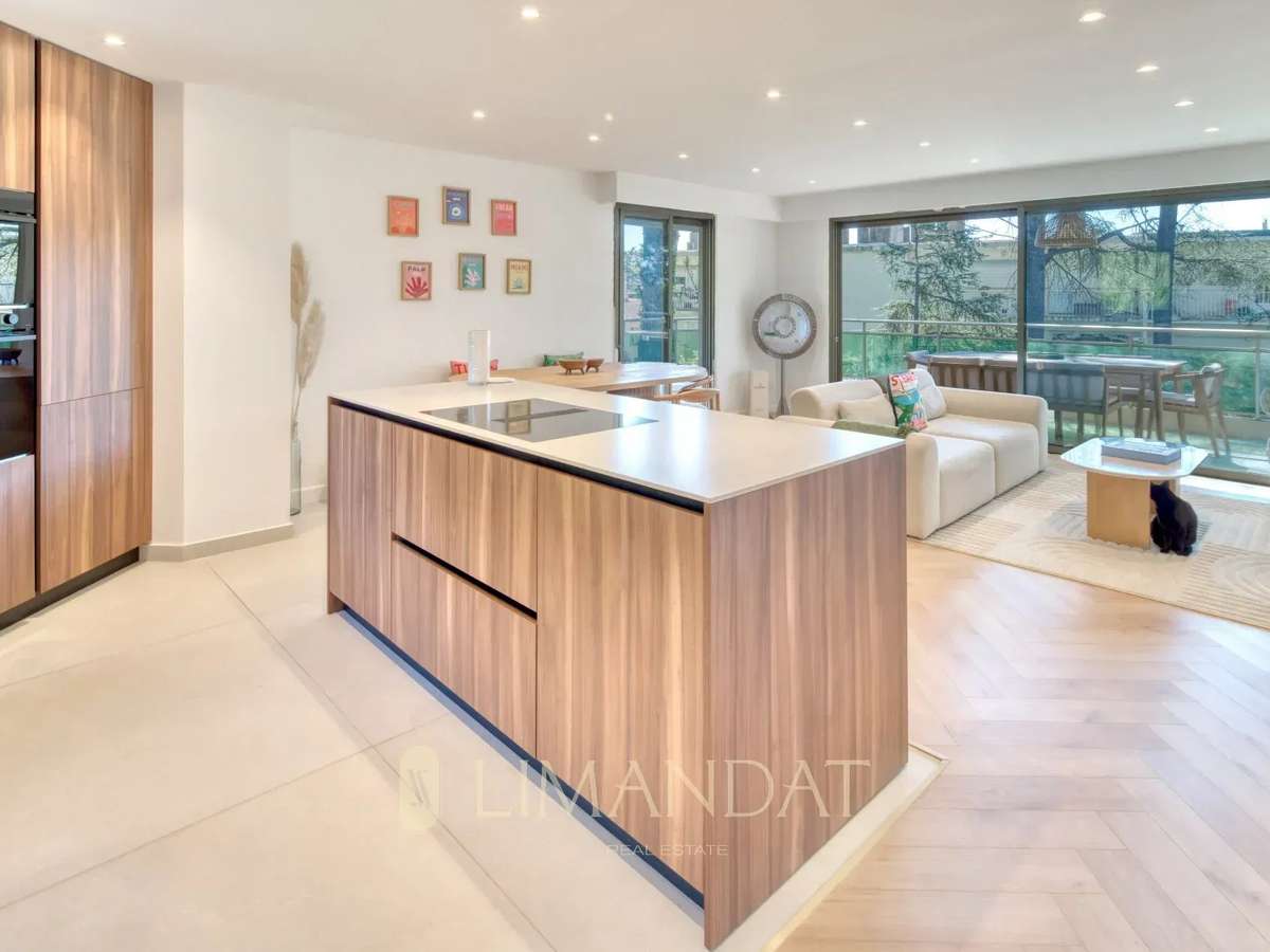 Apartment Cannes