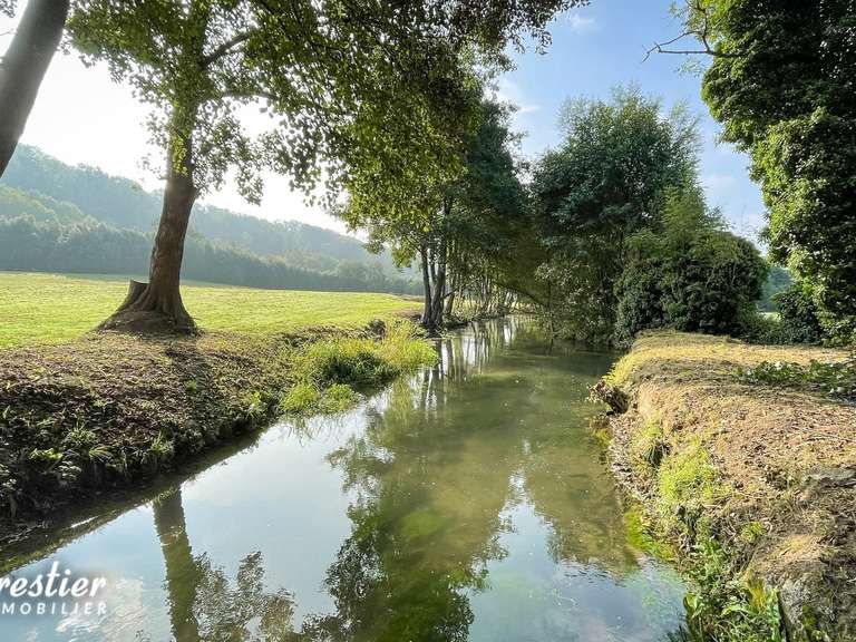 House Dieppe - 6 bedrooms - 561m²