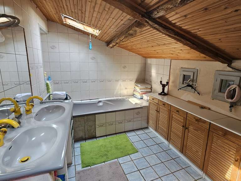Maison Saint-André-de-Cubzac - 5 chambres - 337m²