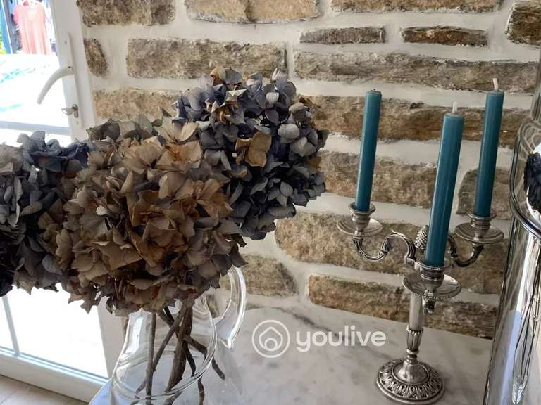 Maison Fouesnant - 6 chambres - 251m²