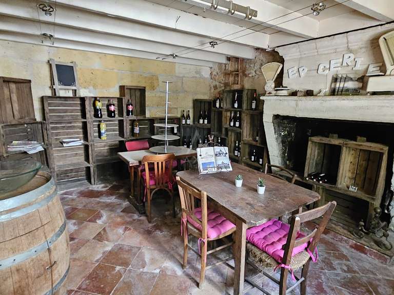 House Gauriaguet - 13 bedrooms - 530m²